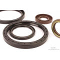 Tc Oil Seal for Motorcycle